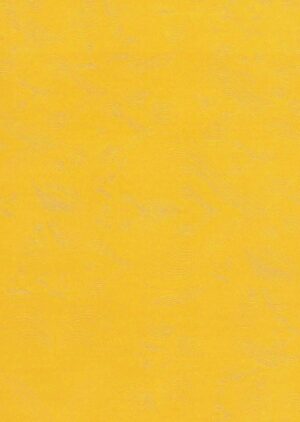 A4 Shimmer Paper