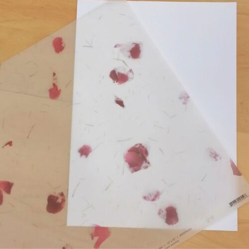 12x12 Vellum Rose Petals