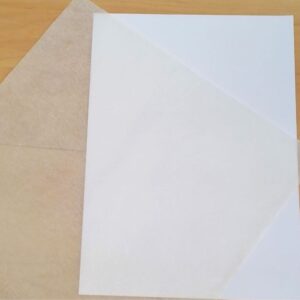 12x12 Vellum Web Print