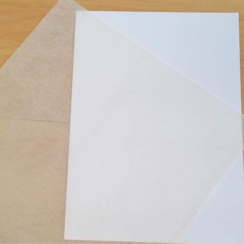 12x12 Vellum Web Print
